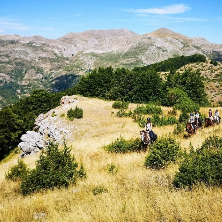 TripTrip-Macedonia-rajd-konny-1