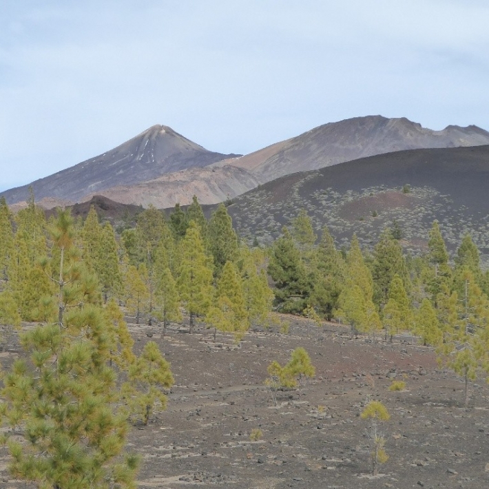 TripTrip-Pico-del Teide-trekking- Teneryfa-2
