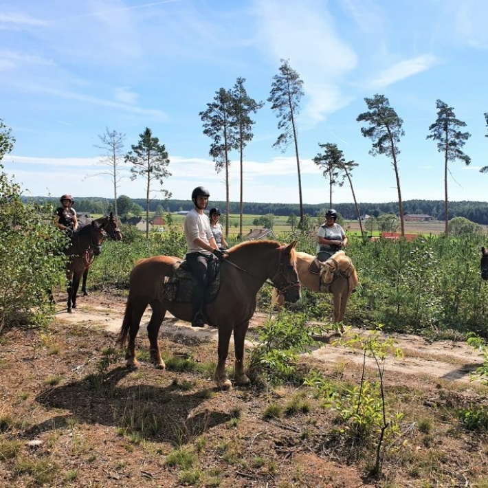 TripTrip-konno-przez-Wielkopolskę-1