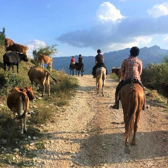 TripTrip-Albania-Szlak-Iliryjski-rajd-konny-1