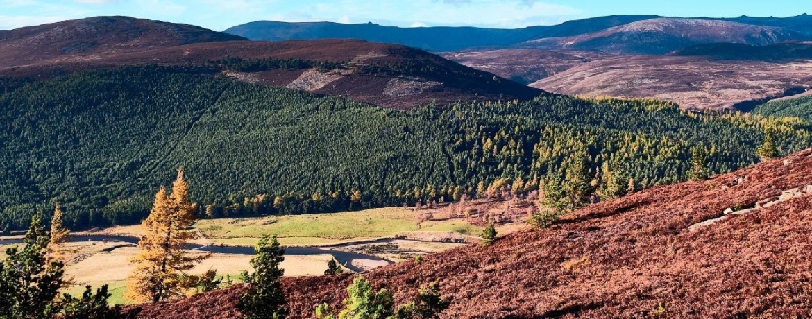 TripTrip-Cairngorms-trekking-Szkocja-1