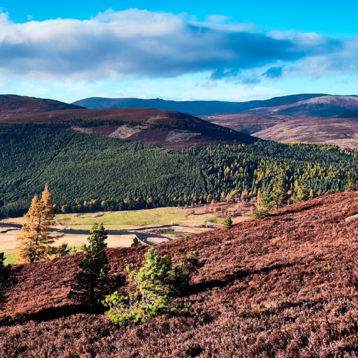 TripTrip-Cairngorms-trekking-Szkocja-1