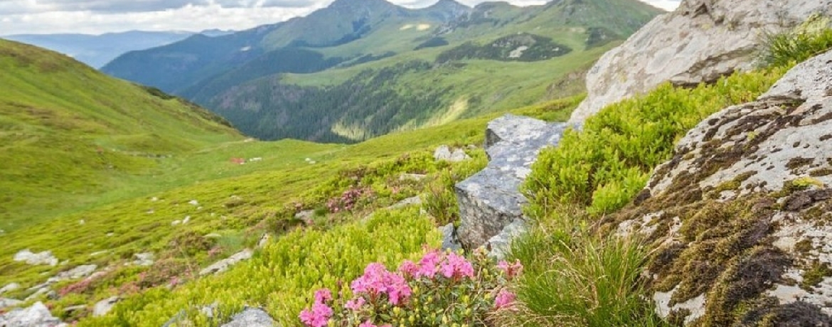 TripTrip-Rumunia-Góry-Rodniańskie-trekking-4