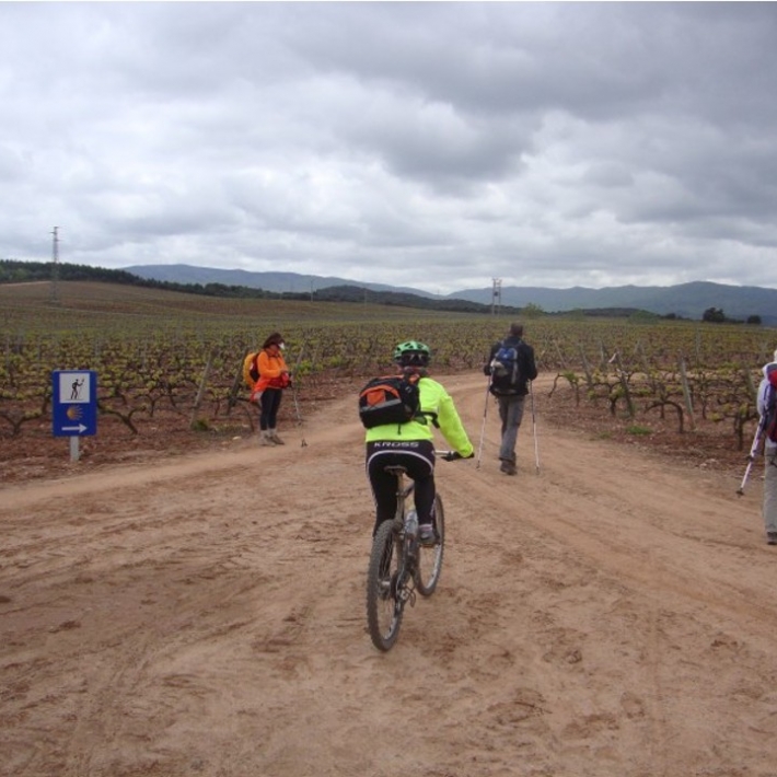 Szlak-św-Jakuba-na-rowerze-TripTrip.pl-1